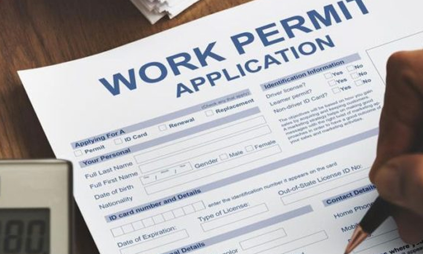 Visa Solution Consultant